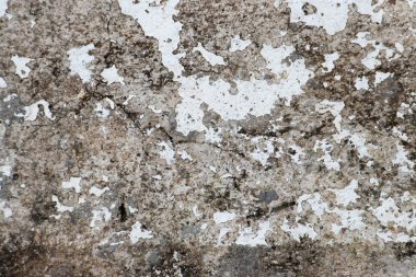 Kirli ve lekeli beton zemin dokulu arka plan