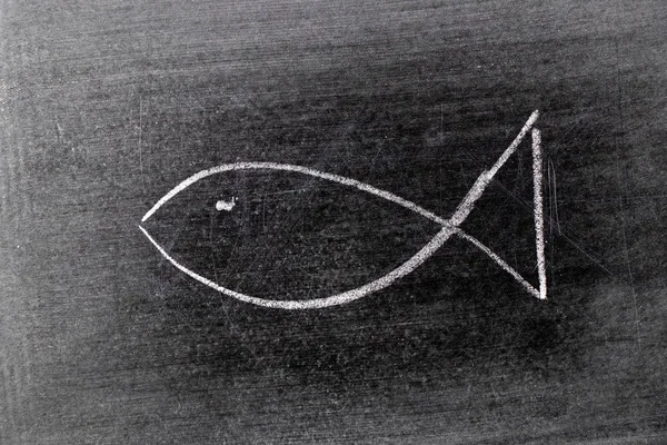 White chalk drawing in fish shape on blackboard background