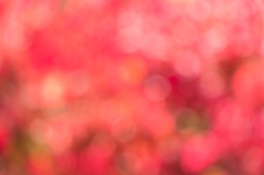 Kutlama veya festivalde süsleme için kırmızı veya pembe bokeh arkaplan