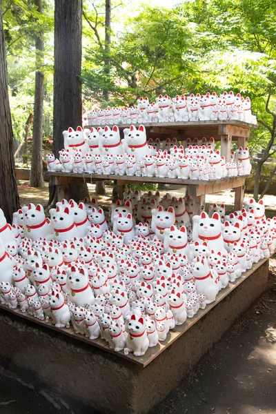 Tokio Japonsko Května 2019 Dav Šťastných Koček Chrámu Gotokuji Který — Stock fotografie