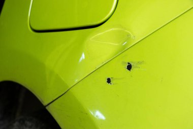 Kazadan kaynaklanan hasarlı yeşil renkli tamponun arka planı kapatılmış.