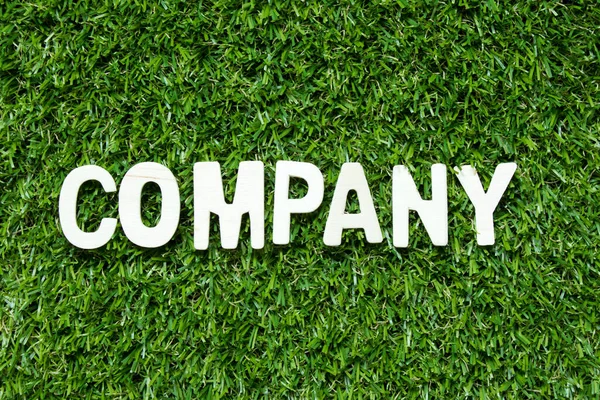 Wood alphabet letter in word company on artificial green grass background