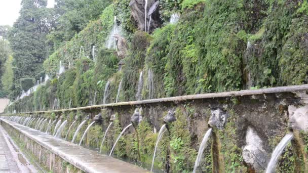 Tivoli Italia Agosto 2018 Chorros Agua Fluyen Desde Fuente Villa — Vídeos de Stock