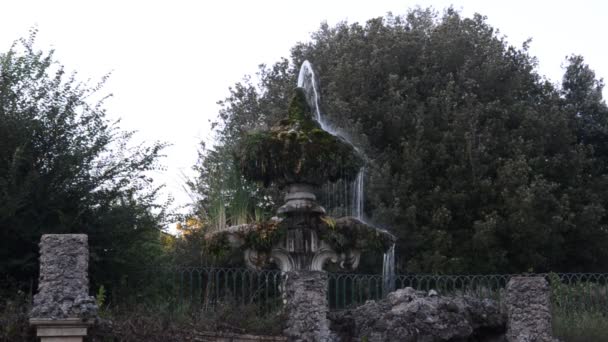 Chorros Agua Antigua Fuente Retro Antiguo Entre Las Plantas Parque — Vídeo de stock