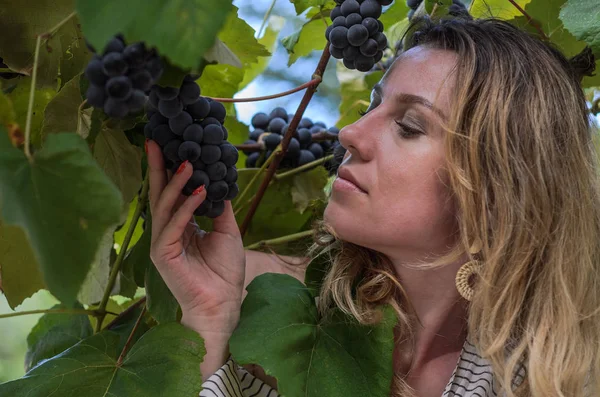 Joven Chica Encantadora Con Una Hrona Variedades Uva Maduras Fragola — Foto de Stock