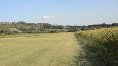 Roma, İtalya - Ağustos 2018: Hafif uçak Texn Echo asfaltsız bir uzay çimenli bir piste inmeye geldi ve, başarısız bir iniş sonra ikinci tura gider