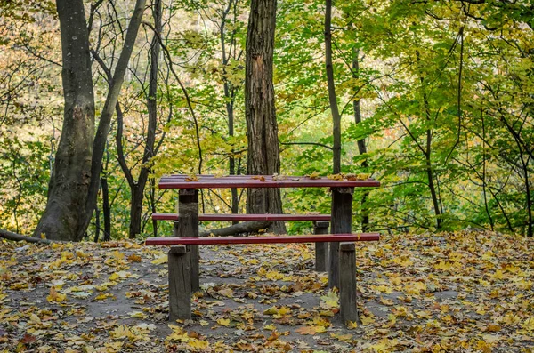 Падшие Желтые Листья Лежат Деревянном Столе Скамейках Осеннем Парке — стоковое фото