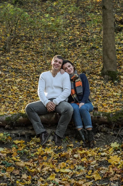 Jeune Couple Heureux Aimant Assis Sur Tronc Arbre Tombé Dans — Photo