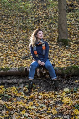 Genç güzel kız onun boynuna bir eşarp ile uzun saçlı bir günlük düşen sarı yapraklar arasında sonbahar orman içinde düşmüş ağaç oturur