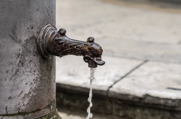 Fontana Romana Bere Con Una Testa Mostro — Foto Stock