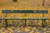 Dřevěná lavice v podzimním parku s žluté listí