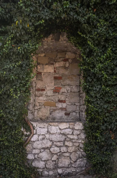 Antique brick arch in grapes