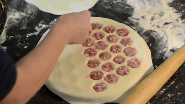 用肉末在一种特殊的形状上把面团揉在饺子上 — 图库视频影像