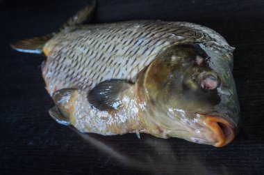 Siyah bir zemin üzerine soyulmuş balık sazan