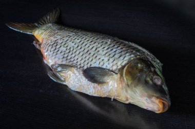 Siyah bir zemin üzerine soyulmuş balık sazan