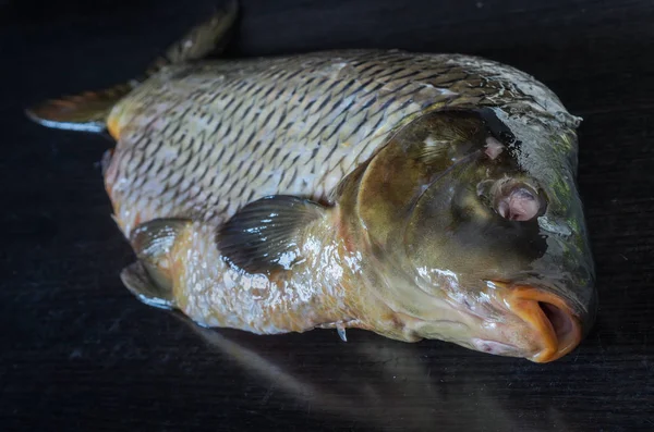 Siyah bir zemin üzerine soyulmuş balık sazan