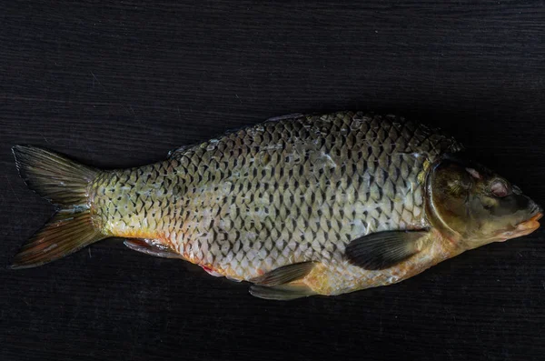 Siyah bir zemin üzerine soyulmuş balık sazan