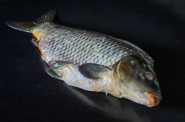 Siyah bir zemin üzerine soyulmuş balık sazan