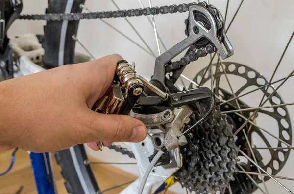 Master repairs bicycle in bicycle repair shop