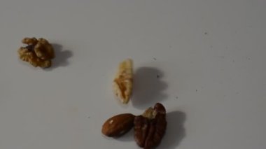 Çeşitli fındık: fıstık, Fındıklı, ceviz ve diğer