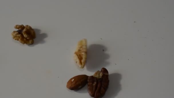 Frutos Secos Surtidos Cacahuetes Avellanas Nueces Otros — Vídeos de Stock