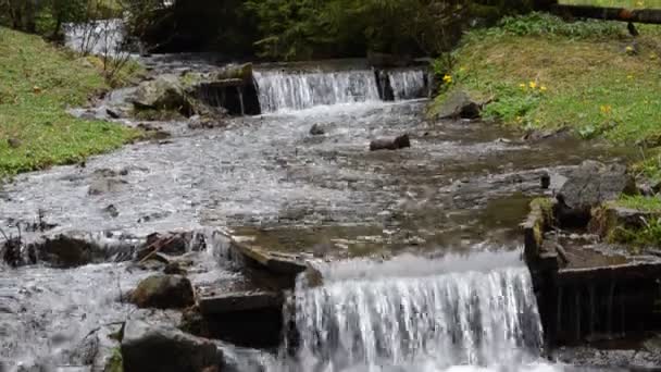 Kaskader Ren Fjäll Flod Bland Stenarna — Stockvideo