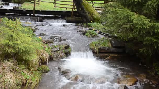 Cascadas Puro Río Montaña Entre Las Piedras — Vídeos de Stock