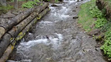 Taşlar arasında saf dağ nehri cascades