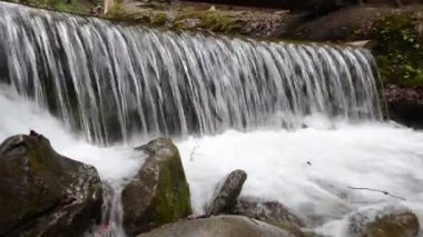 Taşlar arasında saf dağ nehri cascades