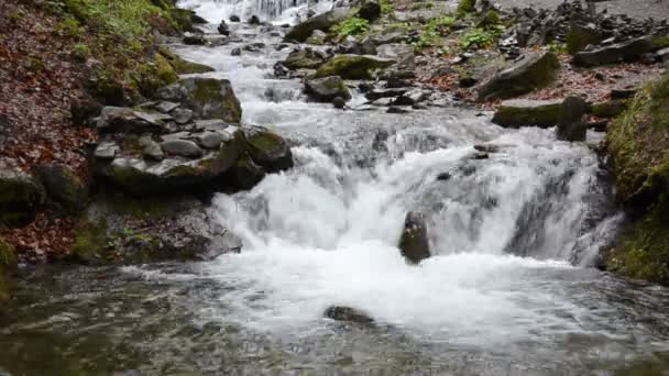 Каскади Чистої Гірської Річки Серед Каменів — стокове відео