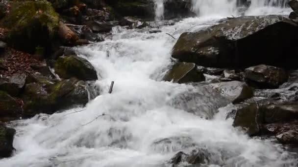 Cascades Van Zuivere Berg Rivier Onder Stenen — Stockvideo