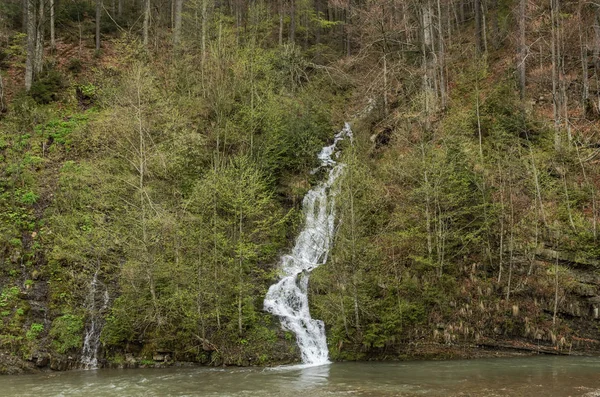 Horský Vodopád Lese — Stock fotografie