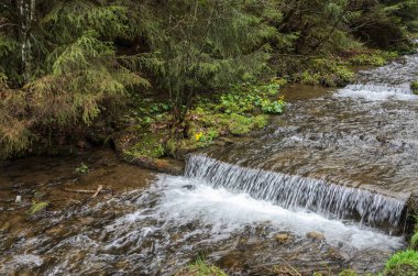 Taşlar arasında saf dağ nehri cascades