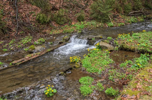 Cascatas Rio Montanha Pura Entre Pedras — Fotografia de Stock