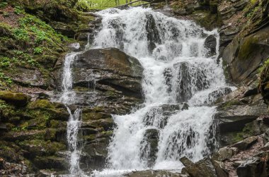 Karpatlar Pylypets dağ şelale Shipot