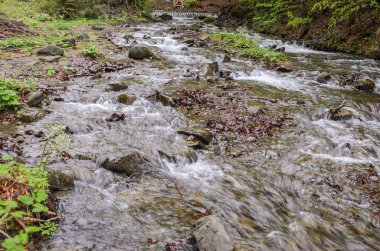 Taşlar arasında saf dağ nehri cascades
