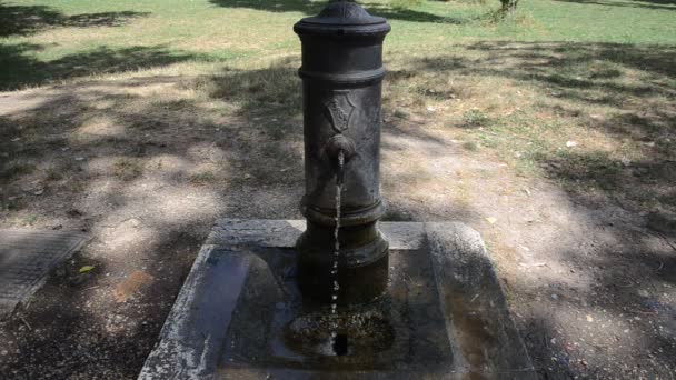 Fontaine Boire Dans Rue Rome Nez Romain — Video