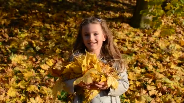 Μικρό Γοητευτικό Κορίτσι Ξερνάει Πεσμένα Κίτρινα Φύλλα Σφενδάμου Στο Πάρκο — Αρχείο Βίντεο