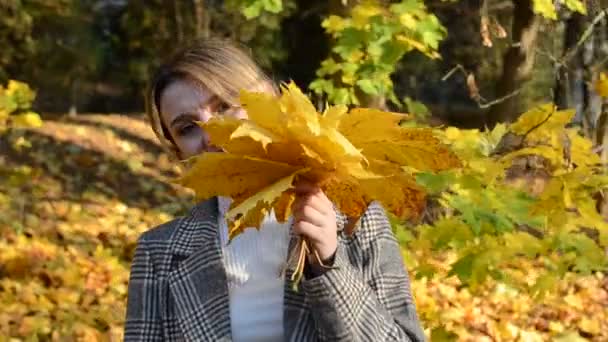 かわいいです若いです陽気で幸せな女の子非表示彼女の顔後ろに黄色のカエデの葉で秋の公園 — ストック動画