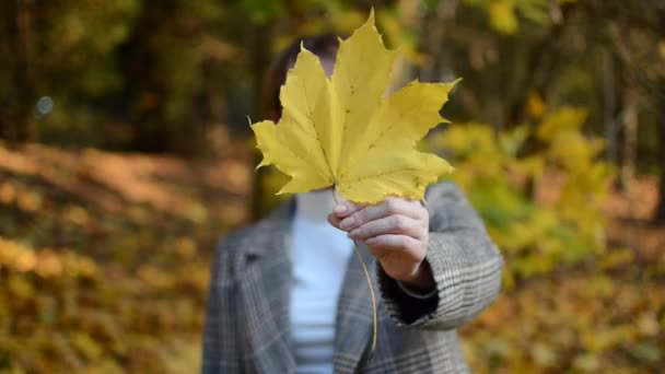 Cute Young Cheerful Happy Girl Hides Her Face Yellow Maple — Stock Video