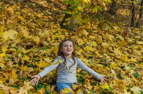 Маленька Чарівна Дівчинка Викидає Осінній Парк Впале Жовте Листя Клена — стокове фото