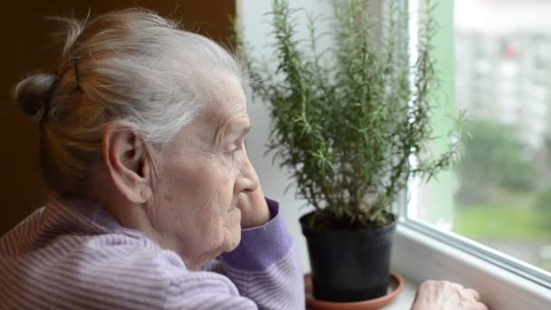 Mujer Mayor Mirando Por Ventana — Vídeos de Stock