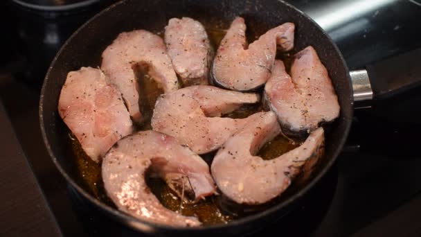 誘導ストーブの上で鍋に揚げ魚のステーキ — ストック動画