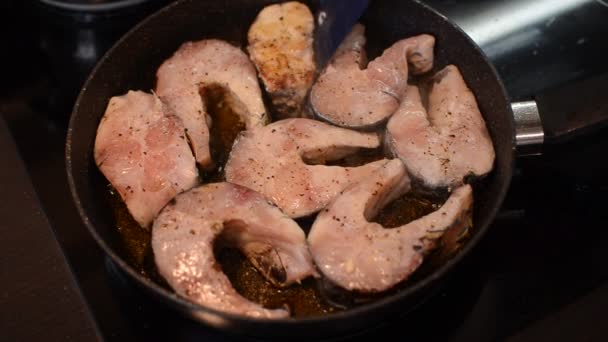 誘導ストーブの上で鍋に揚げ魚のステーキ — ストック動画