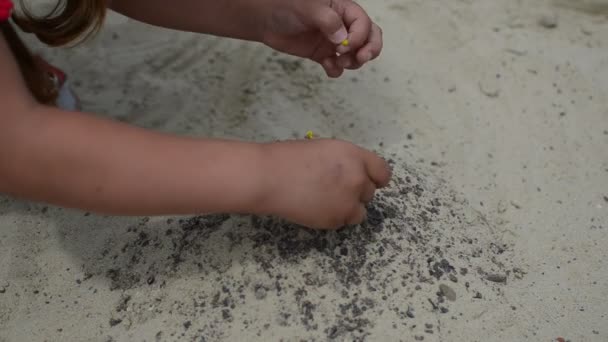 Klein Kind Speelt Zand Een Zandbak — Stockvideo