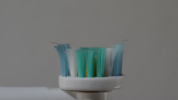 Макро Снимок Размазывания Зубной Пасты Электрической Зубной Щетке — стоковое видео