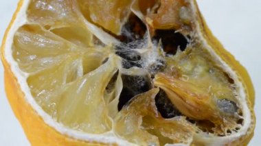 Çürümüş ve çürümüş limon