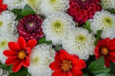 Renkli bahar çiçekleri buketi