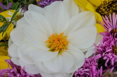 Renkli bahar çiçekleri buketi