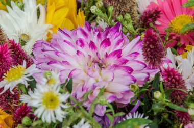 Renkli bahar çiçekleri buketi